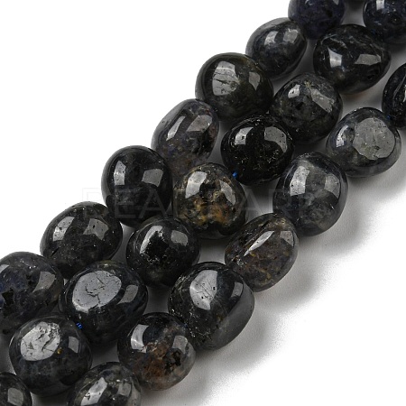 Natural Iolite Beads Strands G-C038-02A-02-1