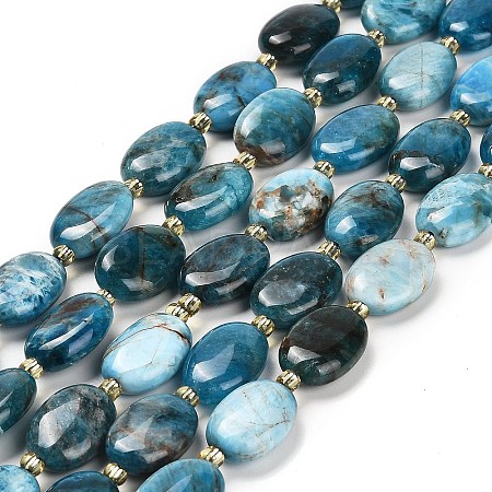 Natural Apatite Beads Strands G-H005-A03-02-1