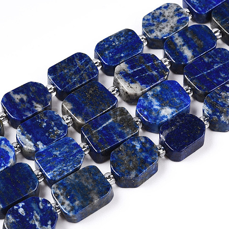 Natural Lapis Lazuli Beads Strands G-T138-14-1
