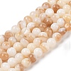 Natural Freshwater Shell Beads Strands X-SHEL-T011-02-6mm-1