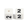 Glazed Porcelain Beads PORC-R003-07-02-2