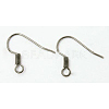Platinum Brass Earring Hooks X-KK-Q363-P-NF-1