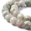Natural Peace Jade Beads Strands G-G905-07-6MM-4