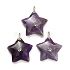 Natural Amethyst Pendants G-Z157-01G-A02-1