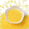 Glass Seed Beads X-SEED-S042-13A-03-2