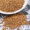 MIYUKI Delica Beads X-SEED-J020-DB1833F-1
