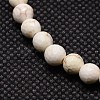 Natural Magnesite Beads Strands TURQ-L017-3mm-02A-2