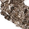 Natural Smoky Quartz Beads Strands G-P622-A01-01-4