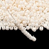 TOHO 6/0 Round Beads X-SEED-TR06-0123L-2
