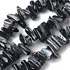 Dyed Natural Trochus Shell Beads Strands SSHEL-C013-09A-1
