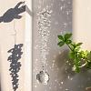 Crystal Hanging Sun Catchers PW-WG7BB61-02-1