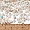 Baking Paint Glass Seed Beads SEED-F006-01A-12-4