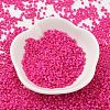 Baking Paint Glass Seed Beads X-SEED-S042-05B-68-2