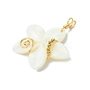 Natural Carved Freshwater Shell Pendants PALLOY-JF03390-3
