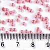 8/0 Glass Seed Beads X-SEED-A015-3mm-2204-4