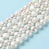 Natural Cultured Freshwater Pearl Beads Strands PEAR-E018-69-2