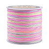 Segment Dyed Nylon Braided Cord NWIR-N016-01E-1
