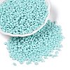 Baking Paint Glass Seed Beads SEED-T006-03G-3