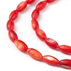 Natural Freshwater Shell Dyed Beads Strands SHEL-M018-13-05-3