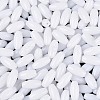 Opaque Colours Glass Seed Beads SEED-T007-16A-2