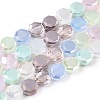 Transparent Glass Beads Strands GLAA-T023-A26-01-1