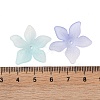 Transparent Acrylic Beads Caps OACR-B022-02C-3
