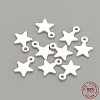 925 Sterling Silver Charms STER-S002-30-1
