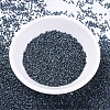 MIYUKI Delica Beads SEED-X0054-DB0325-2