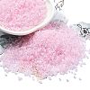 Transparent Colours Glass Seed Beads SEED-H003-01C-1