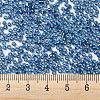 MIYUKI Round Rocailles Beads X-SEED-G007-RR1025-4
