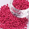 Baking Paint Glass Seed Beads SEED-S001-K5-1