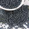 MIYUKI Round Rocailles Beads X-SEED-G008-RR2426-1