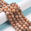 Round Natural Multi-Moonstone Beads Strands G-I176-09-10mm-4