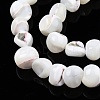 Natural Trochid Shell/Trochus Shell Beads Strands SSHEL-N032-48-4