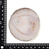 Natural Agate Coaster AJEW-NH0001-04G-04-3