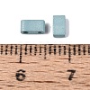 2-Hole Baking Paint Glass Seed Beads SEED-S023-17B-43-3
