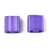 2-Hole Baking Paint Glass Seed Beads SEED-S023-17C-24-3