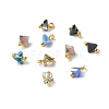 Electroplate Glass Charms PALLOY-JF00821-05-1
