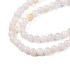 Natural Freshwater Shell Beads Strands BSHE-T009A-01B-3