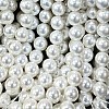 Shell Pearl Beads Strands BSHE-E008-8mm-12-2