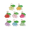 Acrylic Charms PALLOY-JF03079-1
