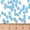 TOHO 6/0 Round Beads X-SEED-TR06-1143-3