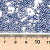 MIYUKI Delica Beads X-SEED-J020-DB2517-3