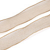 Sparkle Polyester Satin Ribbon SRIB-T009-04B-2