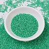 MIYUKI Delica Beads SEED-X0054-DB0691-2