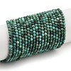 Natural Chrysocolla Beads Strands G-P514-A03-02-A-1