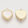 Shell Charms KK-T054-30G-NF-2