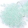 TOHO Round Seed Beads SEED-JPTR08-0170-1