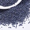 MIYUKI Delica Beads X-SEED-J020-DB1054-1