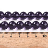 Transparent Glass Beads Strands GLAA-T032-T10mm-03-3